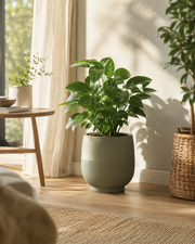 Clevoriad™ GrowNest Indoor Planter