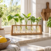 Clevoriad™ BloomNest Propagation Station