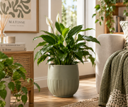 Clevoriad™ GrowNest Indoor Planter