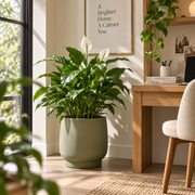 Clevoriad™ GrowNest Indoor Planter